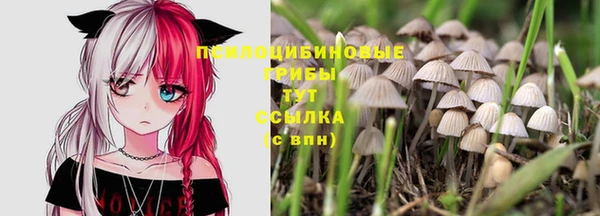 бутират Елизово