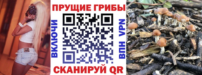 как найти наркотики  Салехард  Галлюциногенные грибы ЛСД 